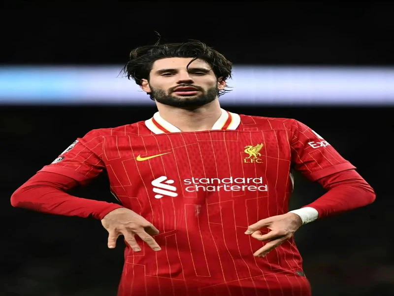 6场比赛全部踢满！利物浦官方：索博当选队内11月最佳球员